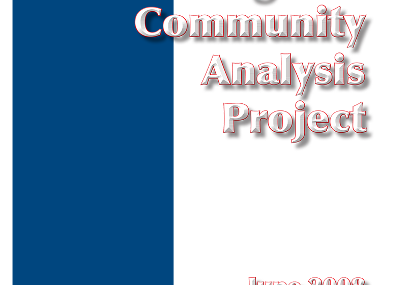 IC Analysis Project 2008 Cover 800w